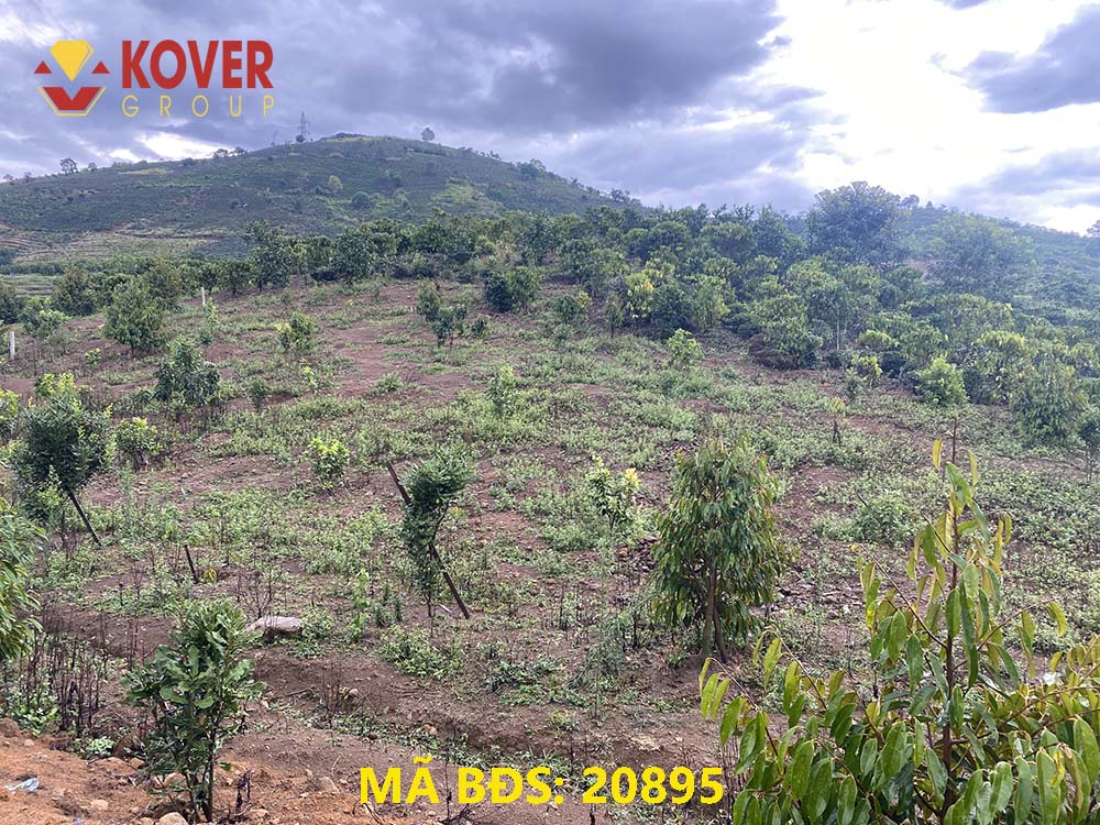Bán lô đất 500m2 view săn mây tại thôn 6, xã Đại Lào