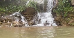 Bán đất vườn cà phê có thác nước đẹp tại Bảo Lộc