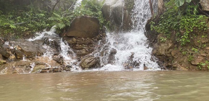 Bán đất vườn cà phê có thác nước đẹp tại Bảo Lộc