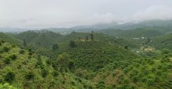 Bán đất view đồi đường Blaosere xã Đại Lào