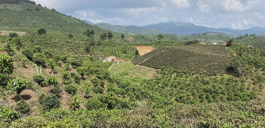 Bán 1700m2 đất tại thôn 6, xã Đại Lào, Bảo Lộc