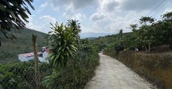 Bán 2800m2 đất view săn mây thôn 6, xã Đại Lào