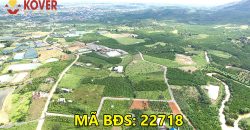 Bán lô đất full thổ cư 2100m2 xã Lộc Châu, Bảo Lộc