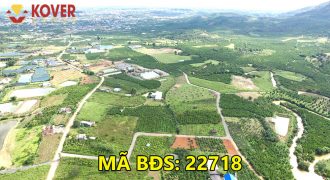 Bán lô đất full thổ cư 2100m2 xã Lộc Châu, Bảo Lộc