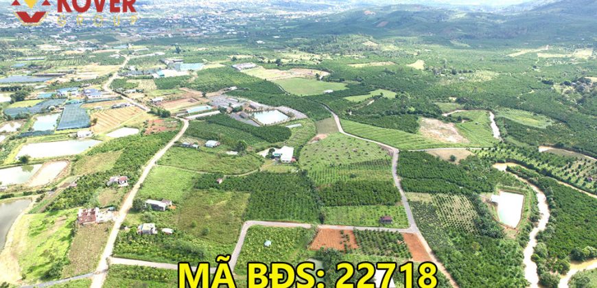 Bán lô đất full thổ cư 2100m2 xã Lộc Châu, Bảo Lộc