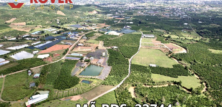 Bán lô đất 15000m2 full thổ cư xã Lộc Châu, Bảo Lộc giá rẻ