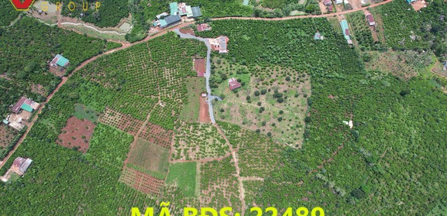 Bán lô đất 2 mặt tiền xã Lộc Đức, huyện Bảo Lâm