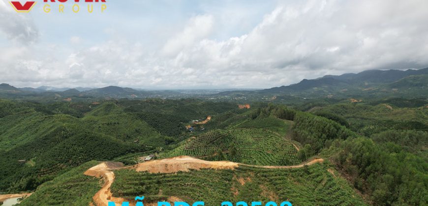 Bán lô đất 24000m2 xã Đại Lào, Thành phố Bảo Lộc giá rẻ