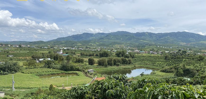Bán 2000m2 đất vườn cà phê xã Đại Lào, TP. Bảo Lộc