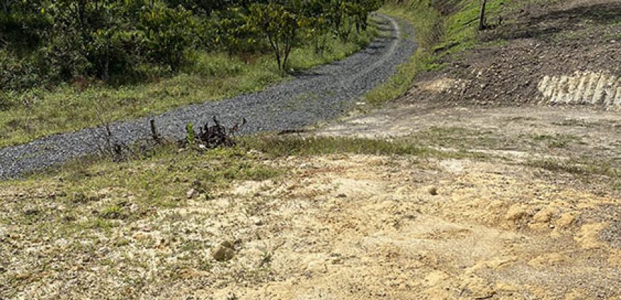 Bán 1,5ha đất đường Phạm Hồng Thái, Thành phố Bảo Lộc