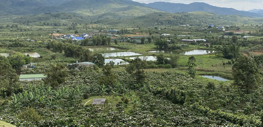 Bán 6000m2 đất mặt tiền đường Phan Huy Ích, view thung lũng tình yêu