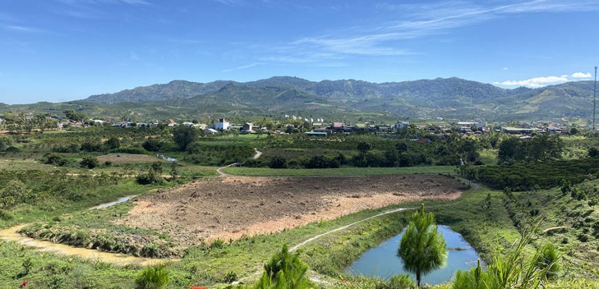 Bán lô đất 1ha view cực đẹp tại đường Blaosere, Đại Lào, Bảo Lộc