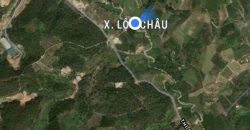 Bán 2,5ha đất xã Lộc Châu, Thành phố Bảo Lộc chỉ 319 triệu/sào